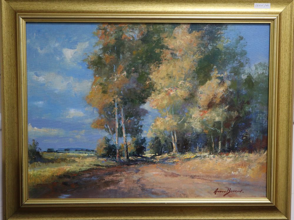 Anton Benzon (SA,1944-) oil on board, Wooded landscape, signed, 44 x 60cm